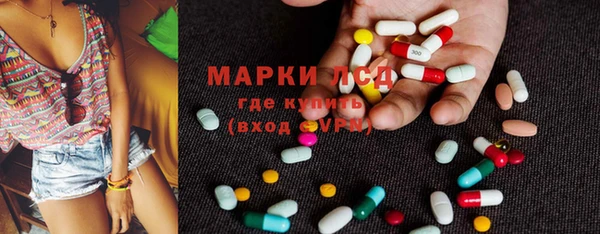 крисы Дмитриев