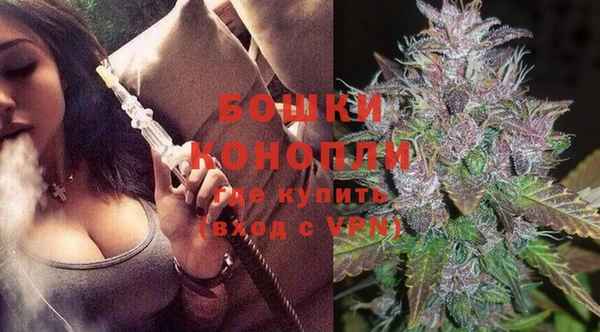 крисы Дмитриев