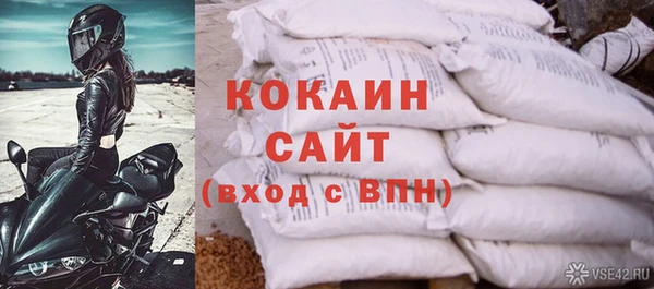 крисы Дмитриев